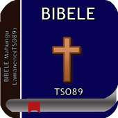 Bibele Mahungu Lamanene Tsonga(TSO89)