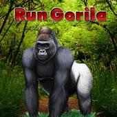 Gorilla Run 2015-16