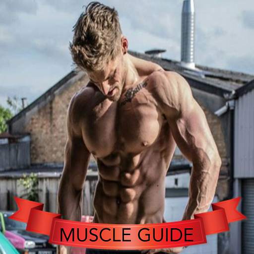 Muscle Guide