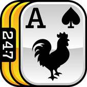 247   Solitaire Freecell PRO