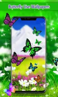 Téléchargement de l'application Butterfly Live Wallpaper 2023 - Gratuit - 9Apps Téléchargement de l'application Butterfly Live Wallpaper 2023 - Gratuit - 9Apps