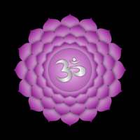 Crown Chakra Secrets