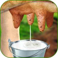 Cow Milk Game-Free on 9Apps