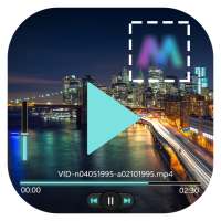 Logo Remover For Video on 9Apps