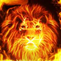 Fire Wallpaper and Keyboard - Fire Lion on 9Apps