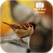 DSLR Camera : DSLR Blur Effect (Photo Editor DSLR) on 9Apps