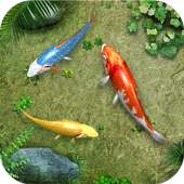 Water Koi Fish Pond LWP on 9Apps