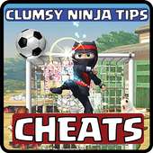 Guide for Clumsy ninja
