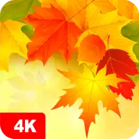 Descarga de la aplicación Fondos de pantalla de otoño 4K 2023 - Gratis -  9Apps