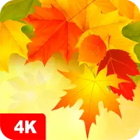 Descarga de la aplicación Fondos de pantalla de otoño 4K 2023 - Gratis - 9Apps Descarga de la aplicación Fondos de pantalla de otoño 4K 2023 - Gratis - 9Apps