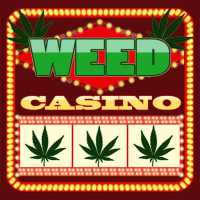 Slots machines marijuana casino: cannabis automaat