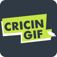 Cricingif - PSL 6 Live Cricket Score & News on 9Apps
