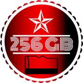 256GB SD CARD : MINI SD CARD Cleaner on 9Apps