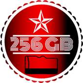 256GB SD CARD : MINI SD CARD Cleaner