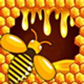 Bee Puzzle :Hexagon Puzzle Game 2019
