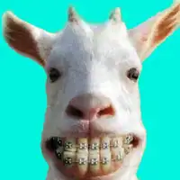 Funny Animal Videos APK Download 2023 - Free - 9Apps Funny Animal Videos APK Download 2023 - Free - 9Apps