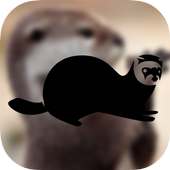 Otters Wallpapers on 9Apps