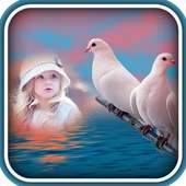 Dove Photo Frames on 9Apps