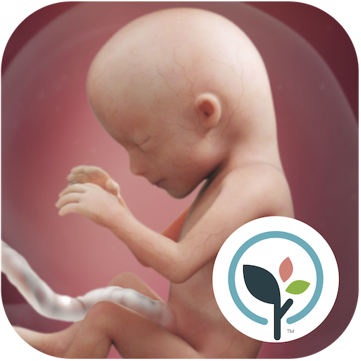 Pregnancy App & Baby Tracker icon
