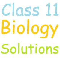 Class 11 Biology Solutions