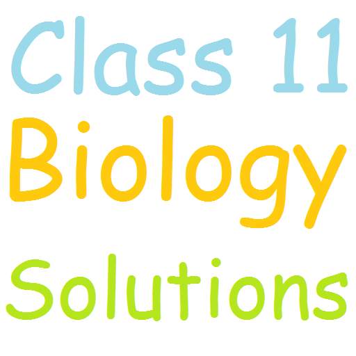 Class 11 Biology Solutions