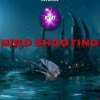 Bird Shooting Game