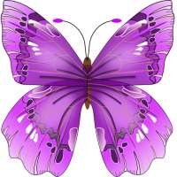 Butterfly Flower for DoodleText