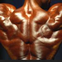 Mass Muscle Building on 9Apps