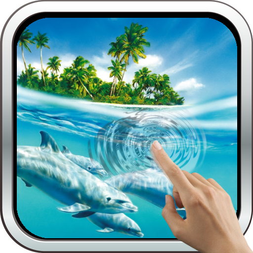 Magic Touch: Dolphins icon