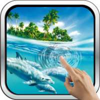 Magic Touch: Dolphins on 9Apps