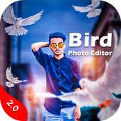 Bird Photo Editor on 9Apps