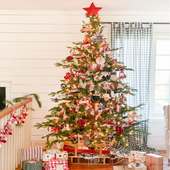 Christmas Tree Ideas & Designs