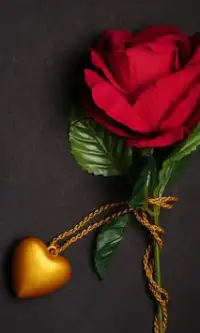 Love HD Mobile Wallpaper APK Download 2023 - Free - 9Apps Love HD Mobile Wallpaper APK Download 2023 - Free - 9Apps