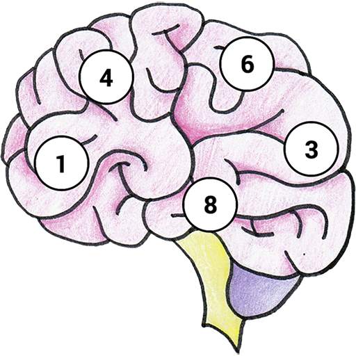 Brain Memory Exercise