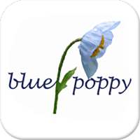 Valley of Flowers on 9Apps