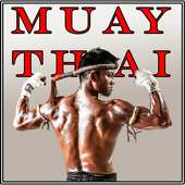 MUAY THAI TREINAMENTO