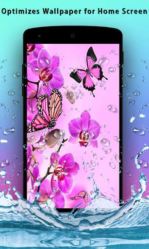 3D Butterfly Live Wallpaper скриншот 2