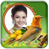 Birds Photo Frame: BPF on 9Apps