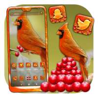 Cardinal Bird Launcher Theme