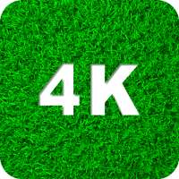 Verts Fonds d'écran 4K