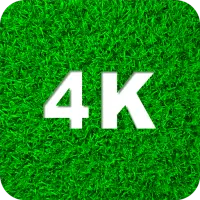 Descarga de la aplicación Fondos de pantalla verdes 4K 2023 - Gratis - 9Apps