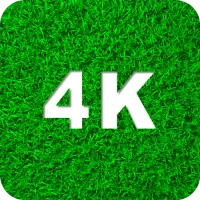Descarga de la aplicación Fondos de pantalla verdes 4K 2023 - Gratis - 9Apps Descarga de la aplicación Fondos de pantalla verdes 4K 2023 - Gratis - 9Apps