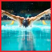 Learn Swimming Step by Step on 9Apps