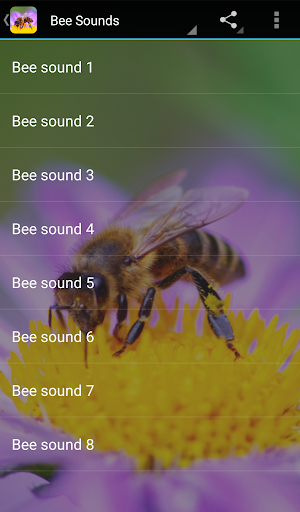 Bee Sounds screenshot 1