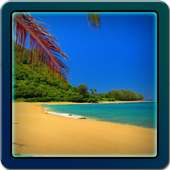 Sunny Beach Live Wallpaper