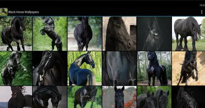 Descarga de la aplicación Fondos Pantalla Caballo Negro 2023 - Gratis - 9Apps Descarga de la aplicación Fondos Pantalla Caballo Negro 2023 - Gratis - 9Apps