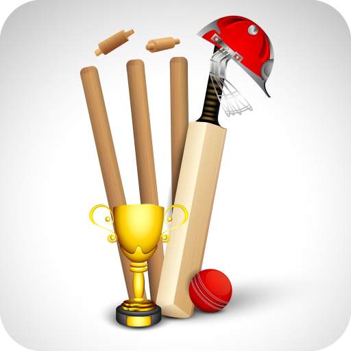 Cricket Bat Wallpaper 4K Latest