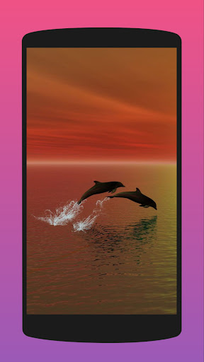 Cute Dolphin Wallpaper  Apps on Google Play