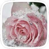 Pink Frozen Flower Theme on 9Apps