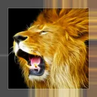 Animal Sounds & Ringtones APK Download 2023 - Free - 9Apps Animal Sounds & Ringtones APK Download 2023 - Free - 9Apps